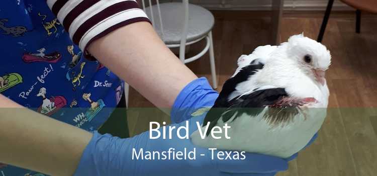 Bird Vet Mansfield - Texas