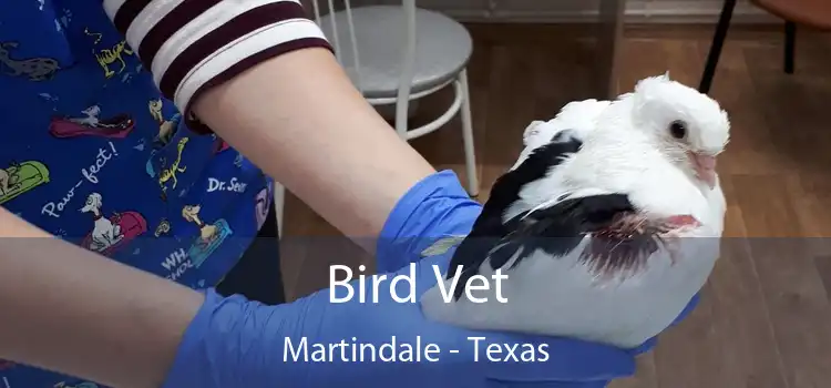 Bird Vet Martindale - Texas