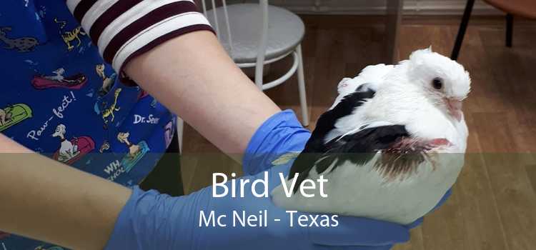 Bird Vet Mc Neil - Texas