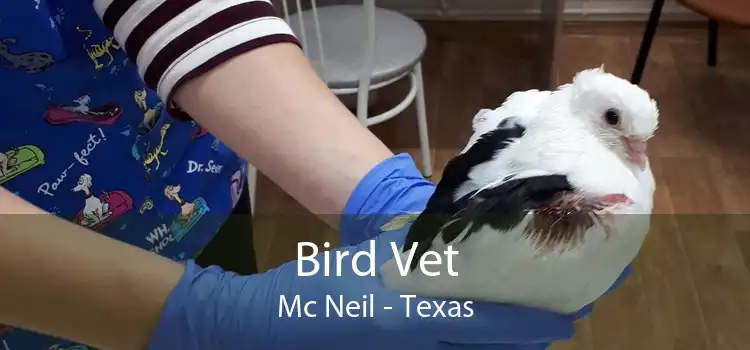 Bird Vet Mc Neil - Texas