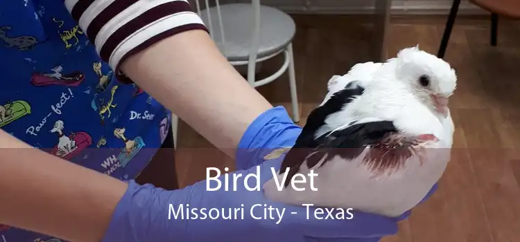 Bird Vet Missouri City - Texas