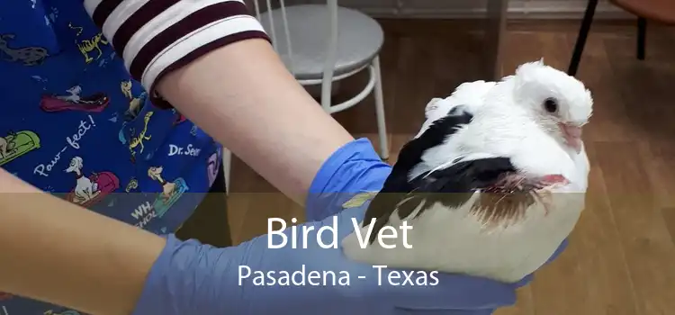 Bird Vet Pasadena - Texas