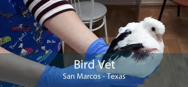 Bird Vet San Marcos - Texas