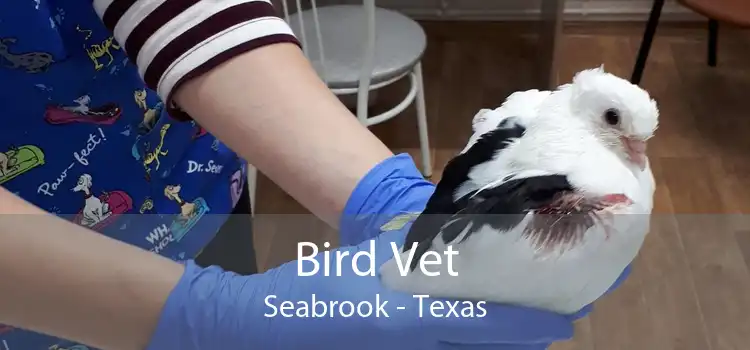 Bird Vet Seabrook - Texas