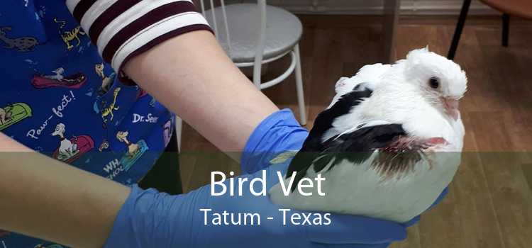 Bird Vet Tatum - Texas