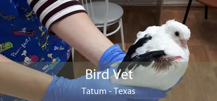 Bird Vet Tatum - Texas