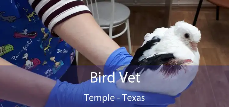 Bird Vet Temple - Texas