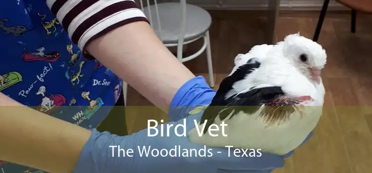 Bird Vet The Woodlands - Texas