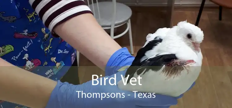 Bird Vet Thompsons - Texas