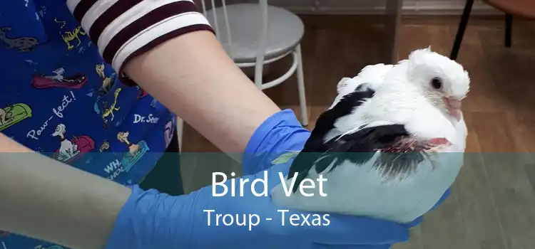 Bird Vet Troup - Texas