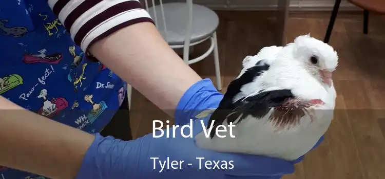 Bird Vet Tyler - Texas