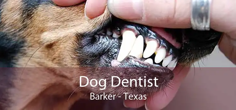 Dog Dentist Barker - Texas