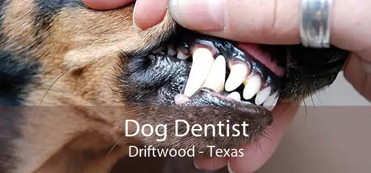Dog Dentist Driftwood - Texas