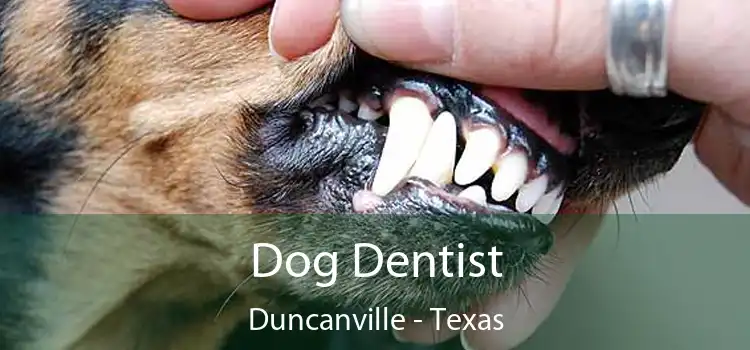 Dog Dentist Duncanville - Texas