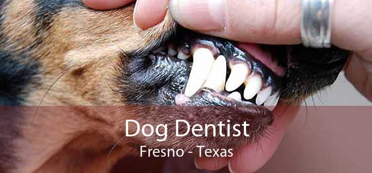 Dog Dentist Fresno - Texas