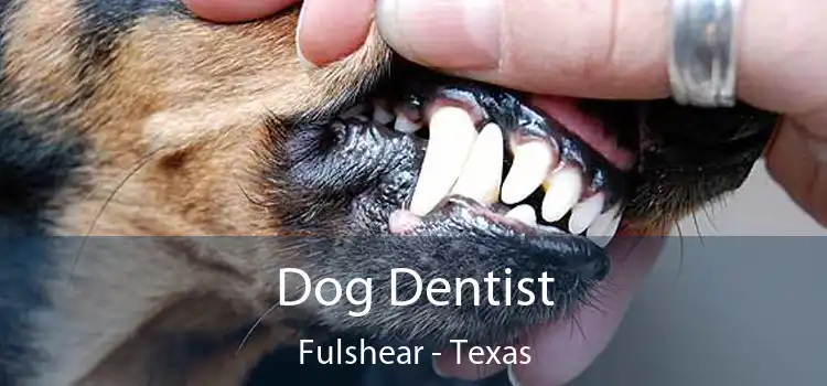 Dog Dentist Fulshear - Texas