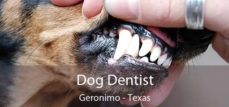 Dog Dentist Geronimo - Texas