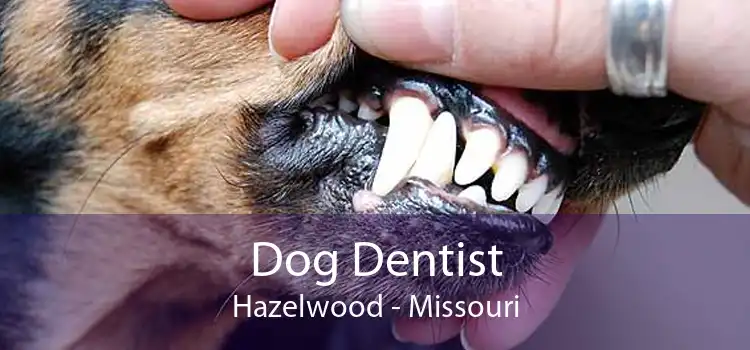 Dog Dentist Hazelwood - Missouri
