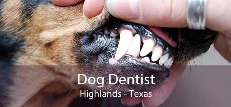 Dog Dentist Highlands - Texas