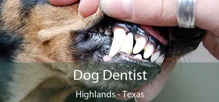 Dog Dentist Highlands - Texas