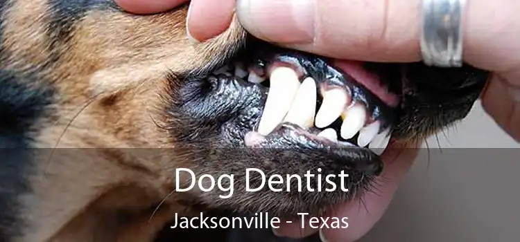 Dog Dentist Jacksonville - Texas