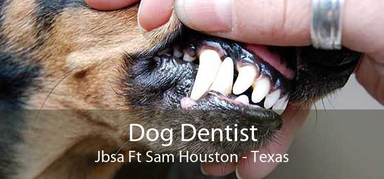 Dog Dentist Jbsa Ft Sam Houston - Texas