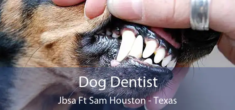 Dog Dentist Jbsa Ft Sam Houston - Texas