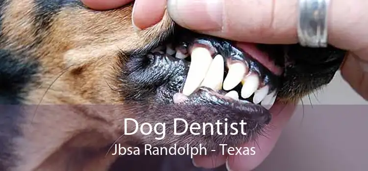 Dog Dentist Jbsa Randolph - Texas