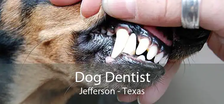 Dog Dentist Jefferson - Texas
