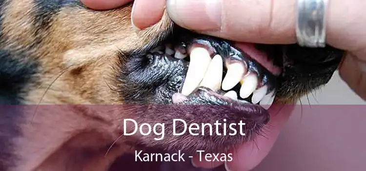 Dog Dentist Karnack - Texas