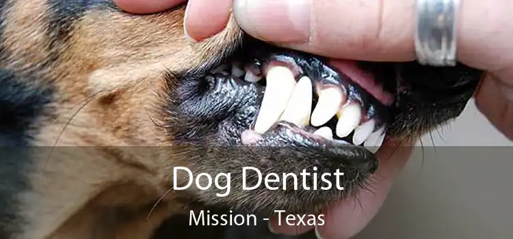 Dog Dentist Mission - Texas