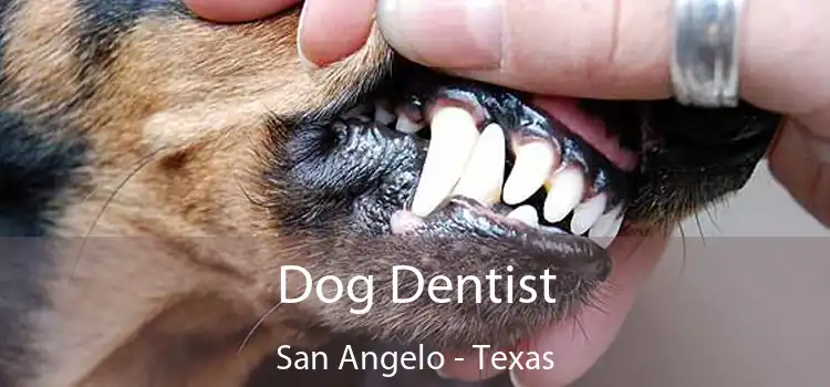 Dog Dentist San Angelo - Texas