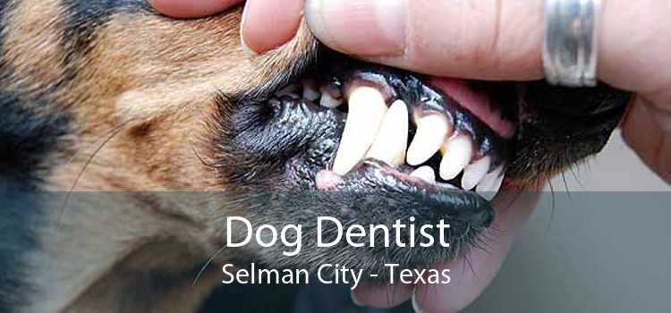 Dog Dentist Selman City - Texas