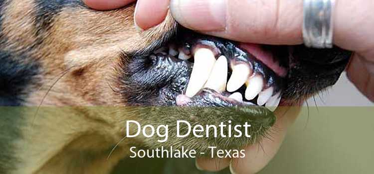 Dog Dentist Southlake - Texas