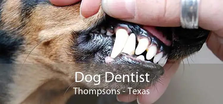 Dog Dentist Thompsons - Texas