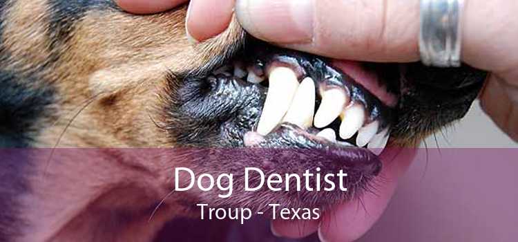 Dog Dentist Troup - Texas
