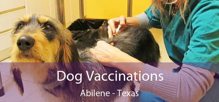 Dog Vaccinations Abilene - Texas