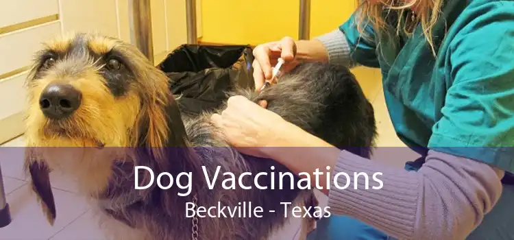 Dog Vaccinations Beckville - Texas