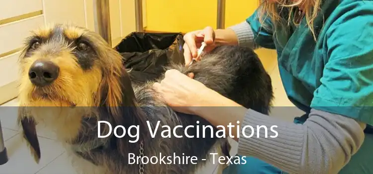 Dog Vaccinations Brookshire - Texas