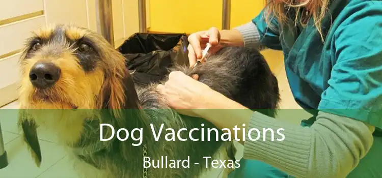 Dog Vaccinations Bullard - Texas