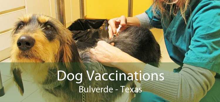Dog Vaccinations Bulverde - Texas