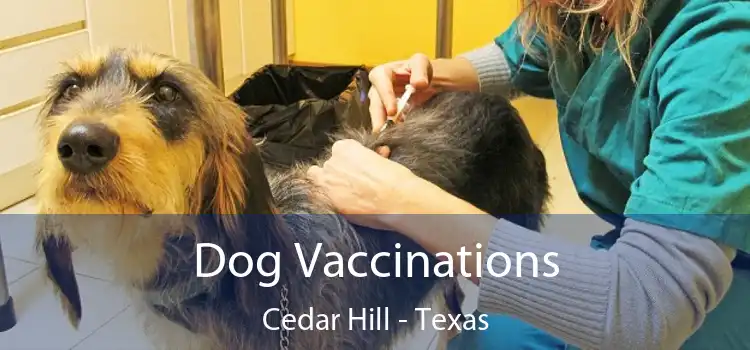 Dog Vaccinations Cedar Hill - Texas