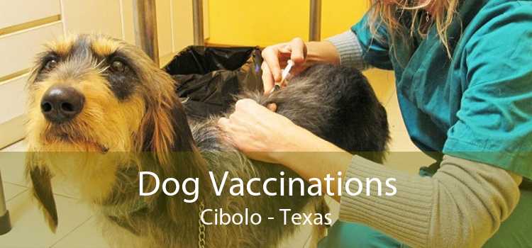 Dog Vaccinations Cibolo - Texas
