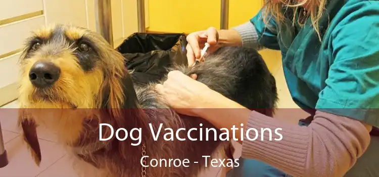 Dog Vaccinations Conroe - Texas