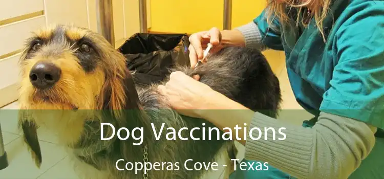 Dog Vaccinations Copperas Cove - Texas