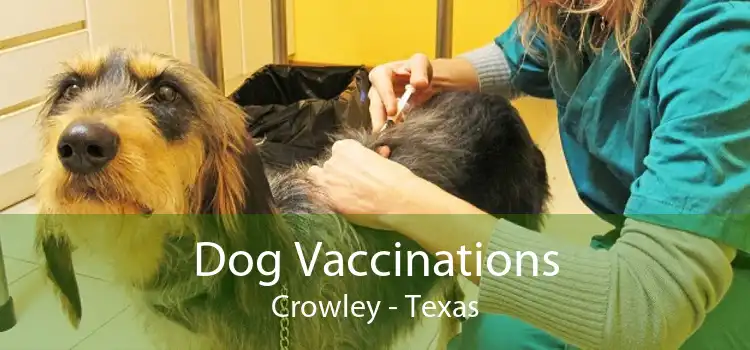 Dog Vaccinations Crowley - Texas