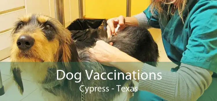 Dog Vaccinations Cypress - Texas