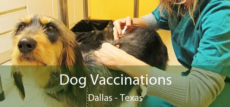 Dog Vaccinations Dallas - Texas