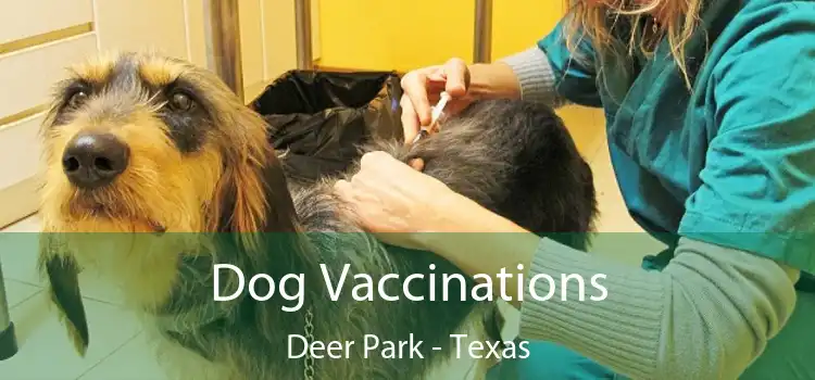 Dog Vaccinations Deer Park - Texas