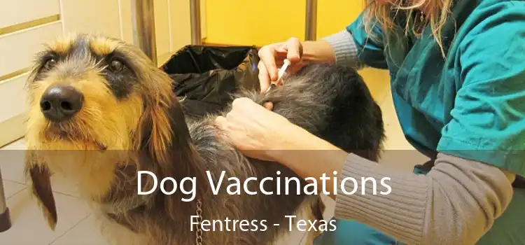 Dog Vaccinations Fentress - Texas